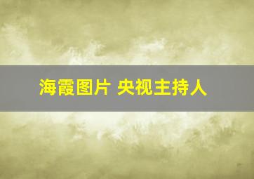 海霞图片 央视主持人